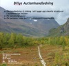 BILLYS AUTISMHANDLEDNING BAH logotyp
