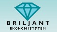 BRILJANT EKONOMISYSTEM ÖST AB logotyp