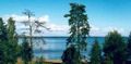 HJÄLMARESUNDS CAMPING logotyp