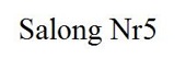 SALONG NR5 logotyp