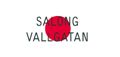 SALONG VALLGATAN HB logotyp