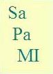 SAPAMI logotyp