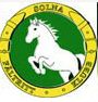 SOLNA RIDSKOLA AB logotyp